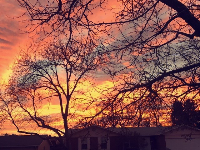 CLERMONT ASSISTED LIVING LLC